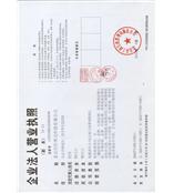 执照