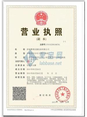 济南赛弗仪器仪表有限公司