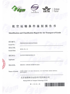 航空DGM鉴别报告