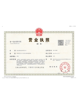 武汉颀硕仪器有限公司